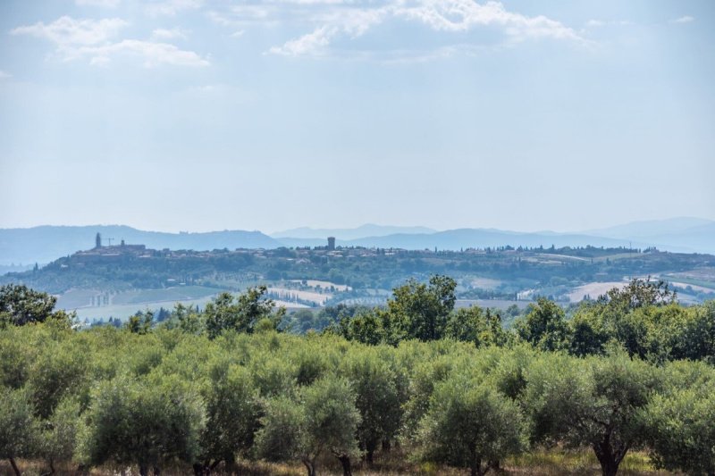 Terreno edificabile a Asciano
