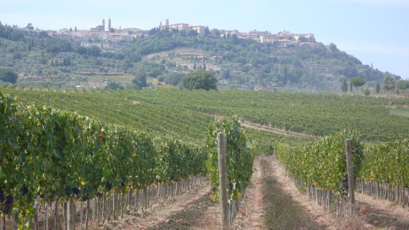Oud boerderijtype in de alpen in Montalcino