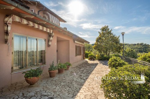 Квартира в Монтепульчано