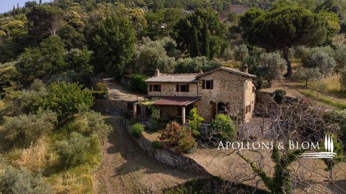 蒙塔尔奇诺别墅