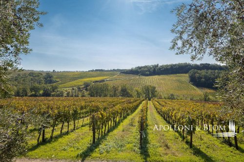 Коммерческая недвижимость в Бучине