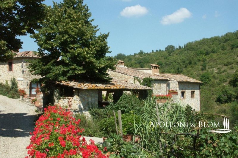 4 Bedrooms Farmhouse for sale in Castellina In Chianti [797144] | Gate-away®