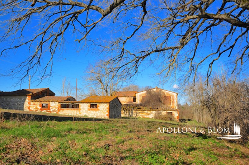 Lantställe i Asciano