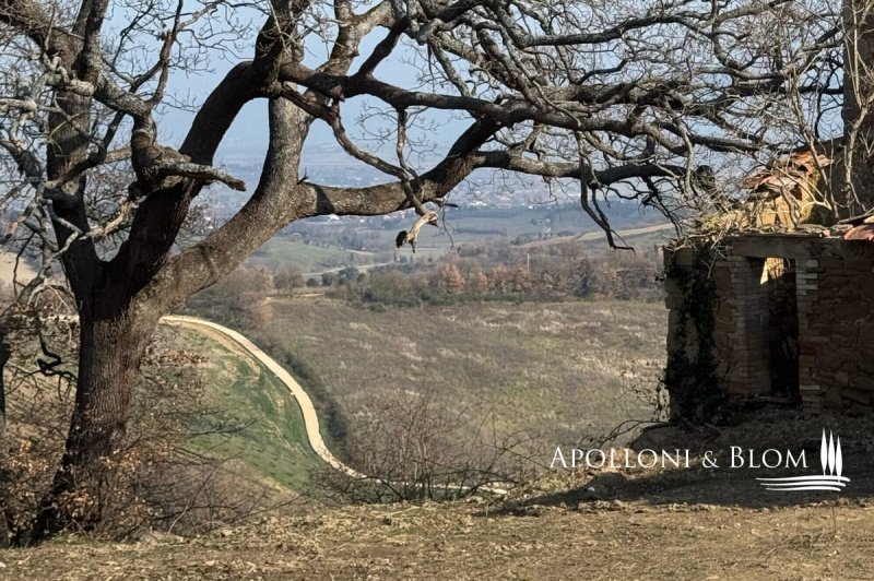 Вилла в Торрита-ди-Сьена