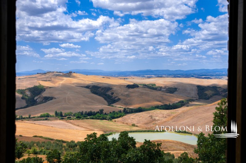 Lantgård i Gavorrano