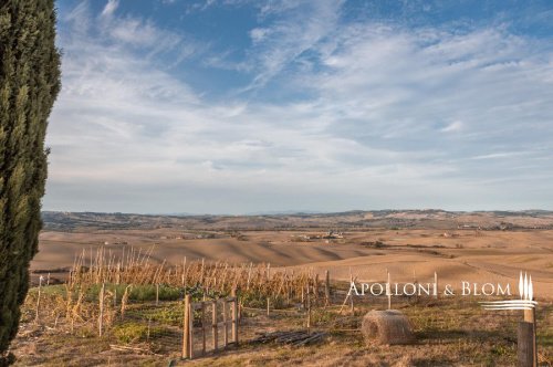 Lantgård i Gavorrano