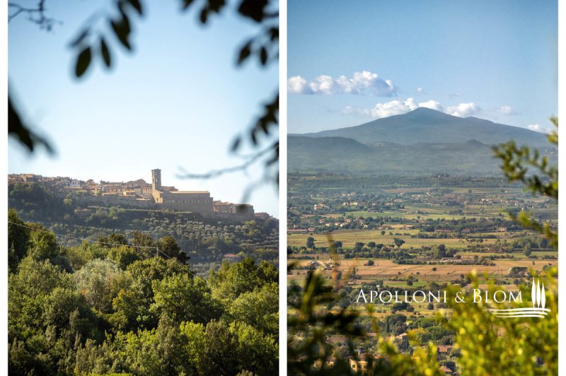 Villa in Cortona
