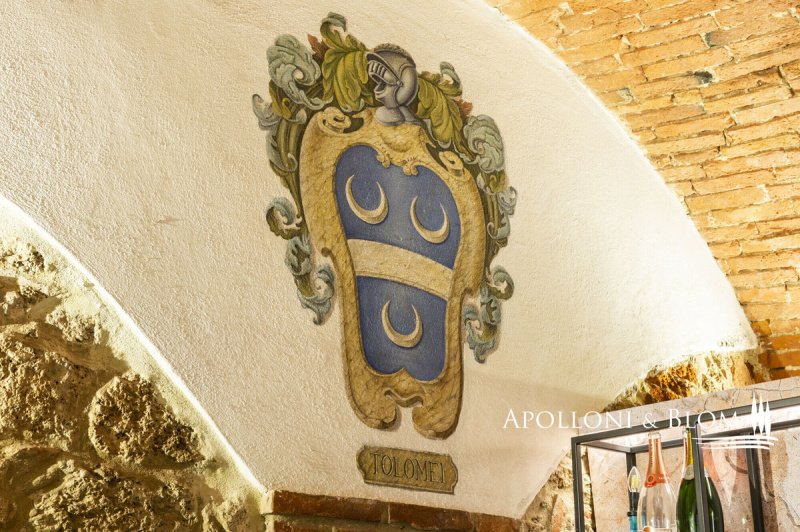 Villa in Asciano