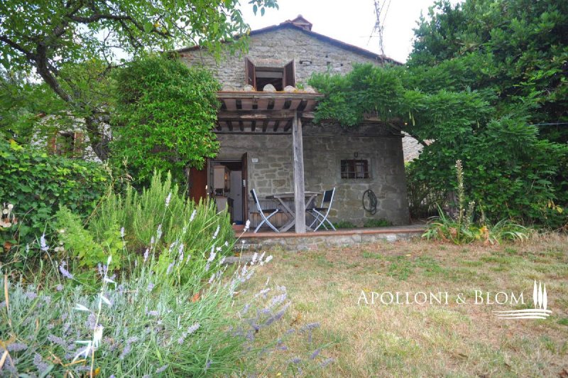 Villa en Cortona