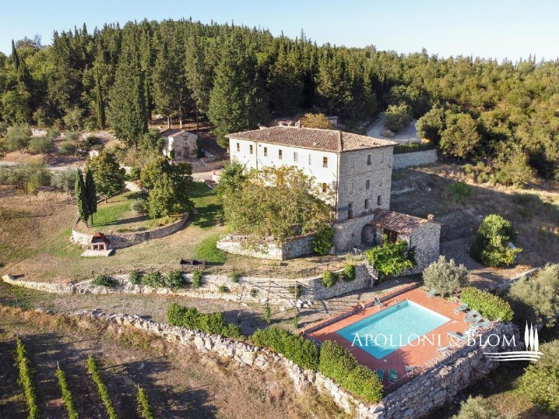 21 Bedrooms Villa for sale in Castellina In Chianti [812824] | Gate-away®