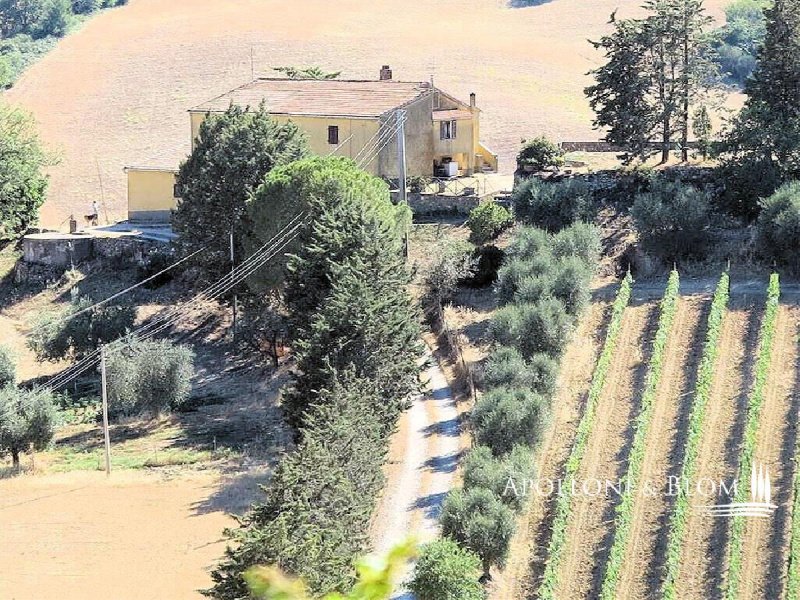 Villa in Magliano in Toscana