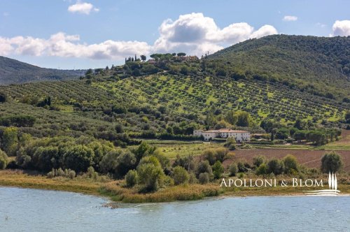 Moradia em Paciano
