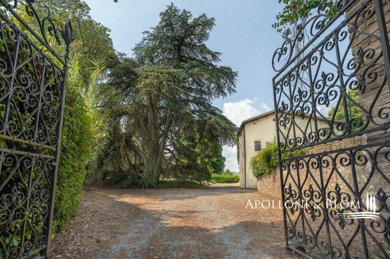 Villa in Siena