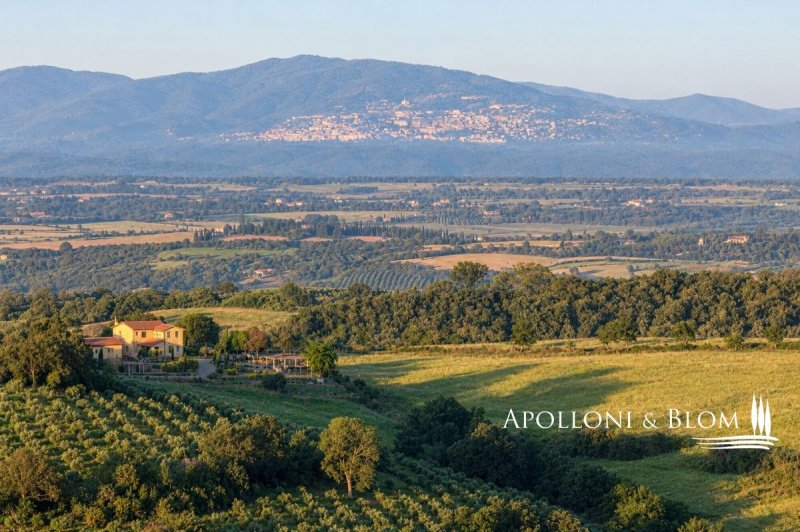 Ferme à Grosseto