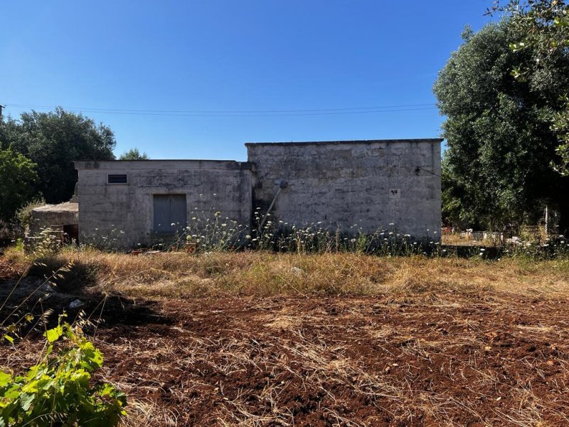 Trullo (Rundhaus) in Ostuni