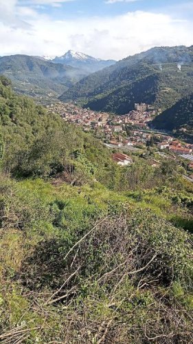 Agricultural land in Dolceacqua