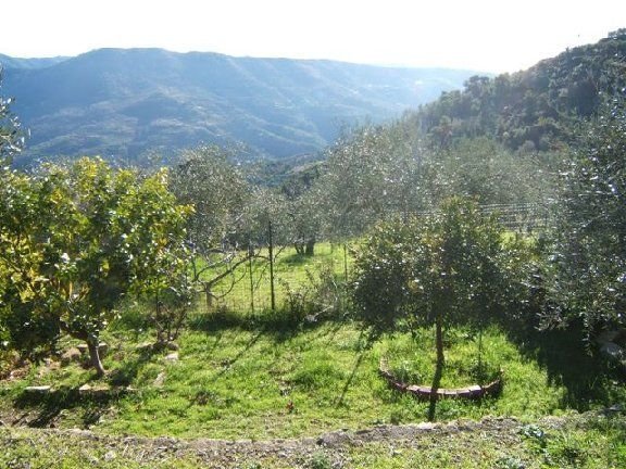 Casa indipendente a Perinaldo