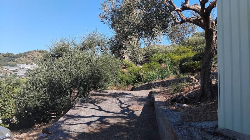 Agricultural land in San Biagio della Cima