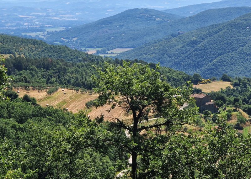 Hus på landet i Cortona