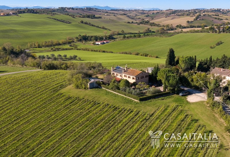 Villa en Monte San Vito