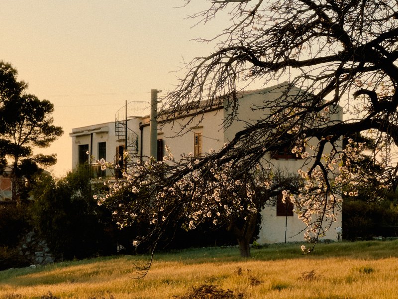 Masseria in Montallegro