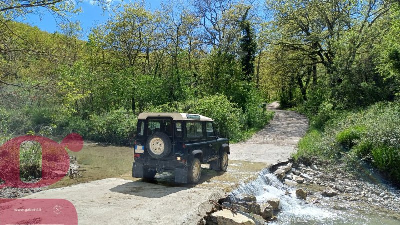 Terreno agrícola em San Venanzo