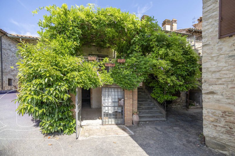 Top-to-bottom house in Todi