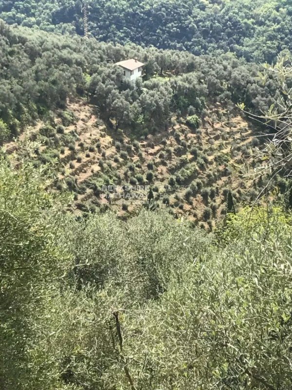 Building plot in Forte dei Marmi