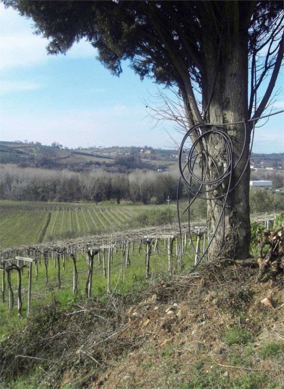 Terreno edificabile a Torino di Sangro