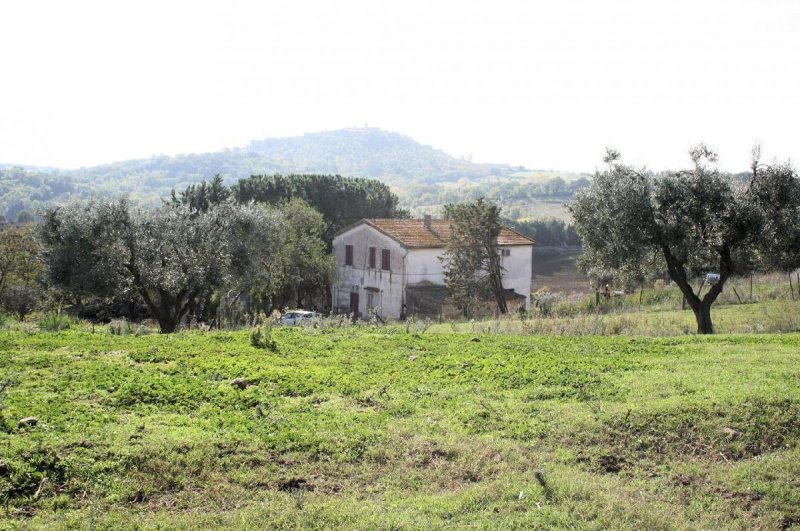 Hus i Magliano in Toscana
