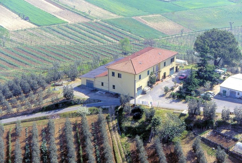 Farmhouse in Cerreto Guidi