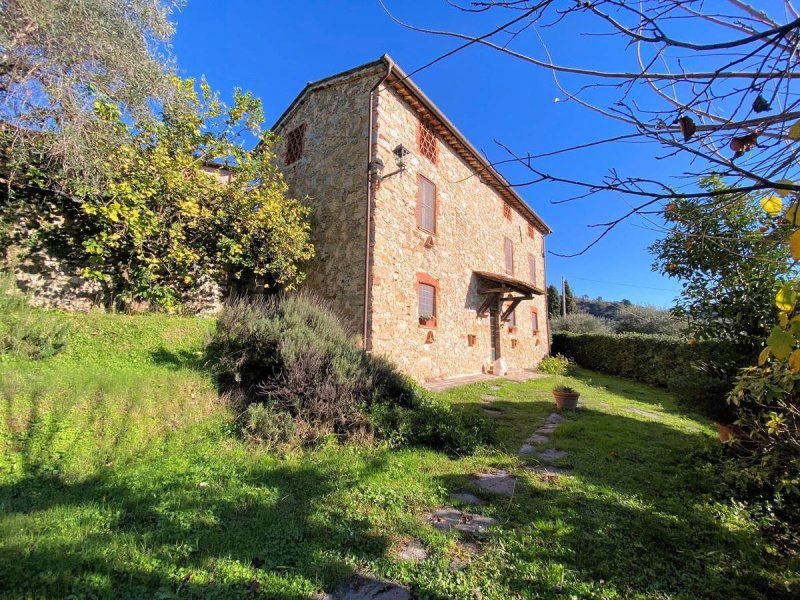 Farmhouse in Camaiore