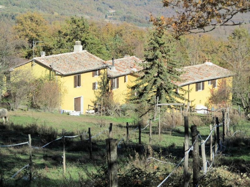 Cabaña en Montieri