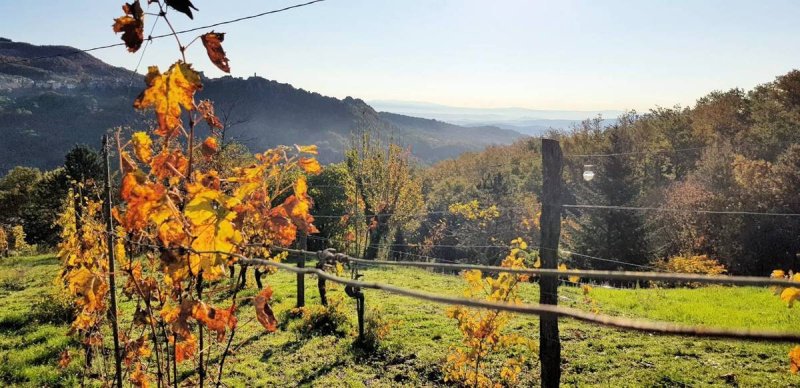 Casa indipendente a Roccastrada