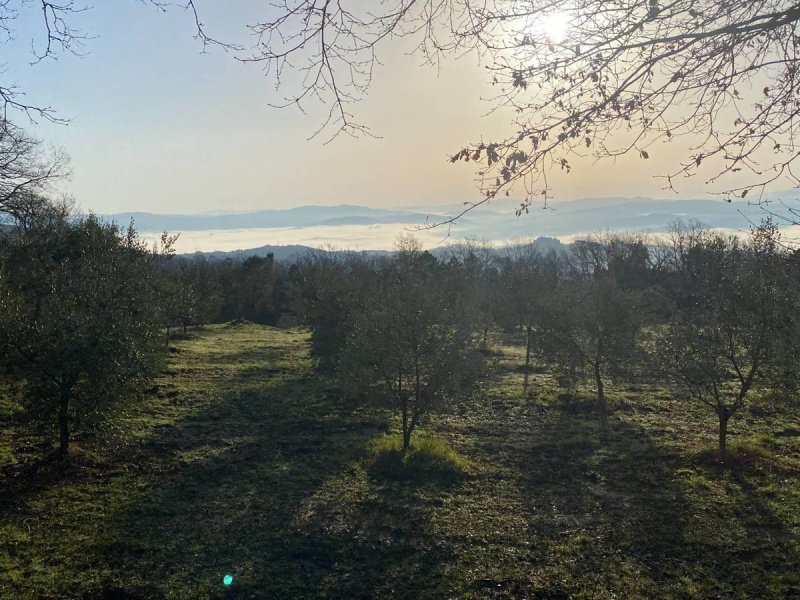 Lantställe i Castelnuovo di Val di Cecina