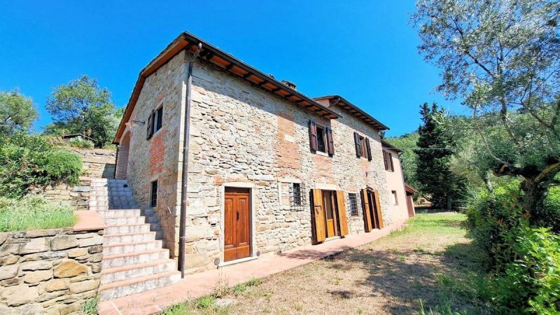 Ferme à Loro Ciuffenna