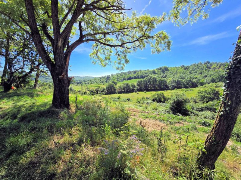 滨海马萨乡间房屋