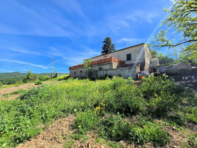 滨海马萨乡间房屋