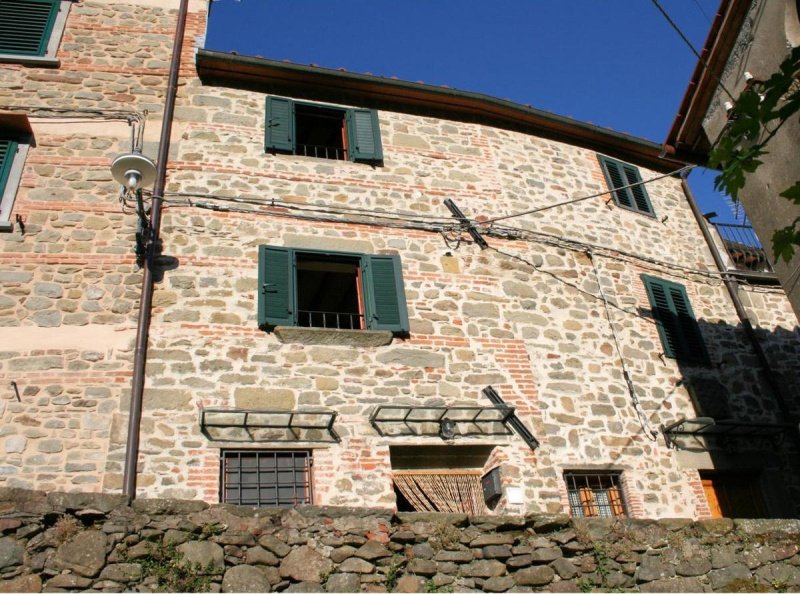 Semi-detached house in Pescia