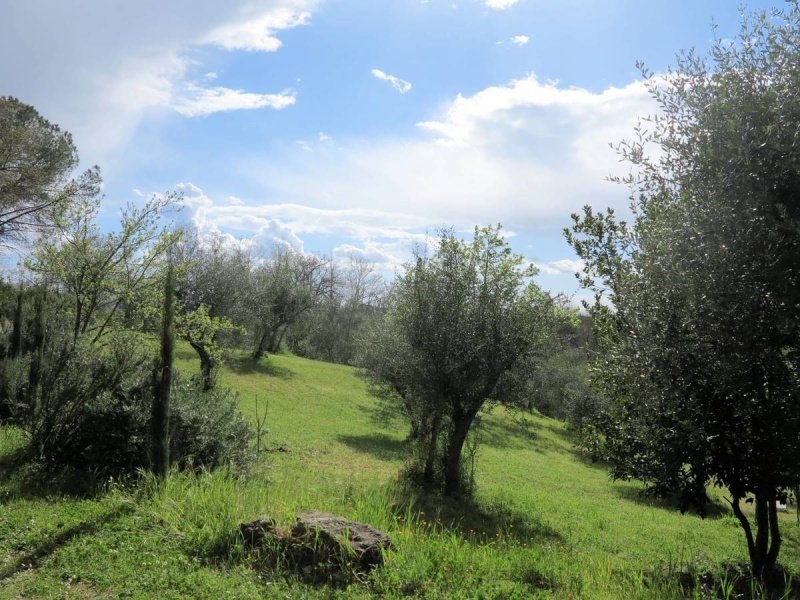 Maison de campagne à Civitella Paganico