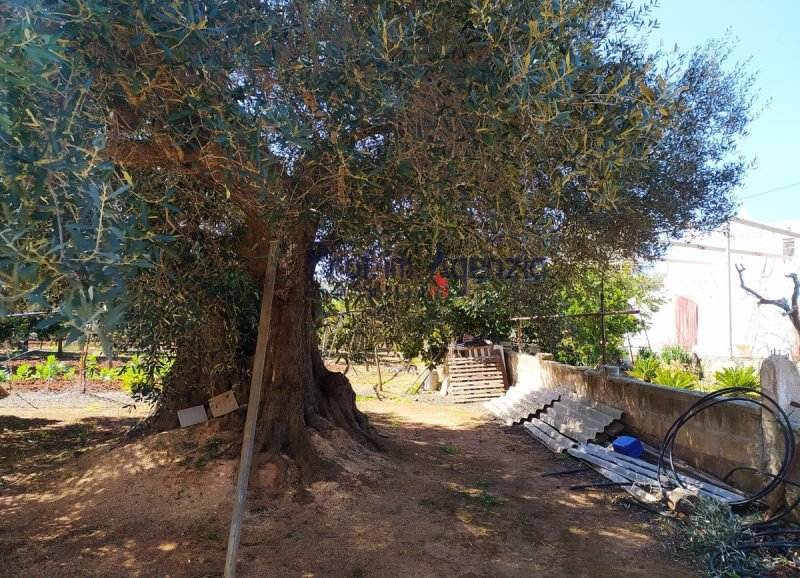 Trullo i Carovigno