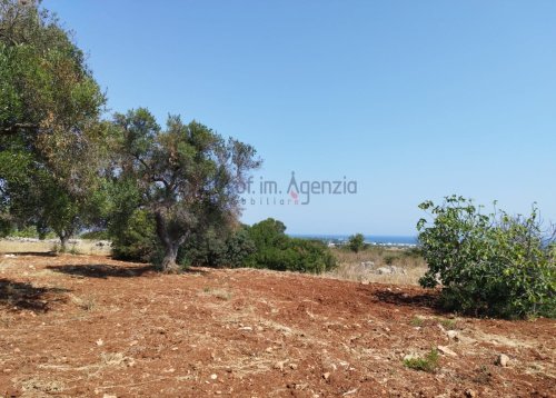 Terreno agricolo a Carovigno