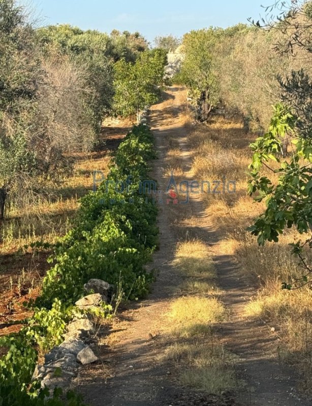 Trullo i Carovigno