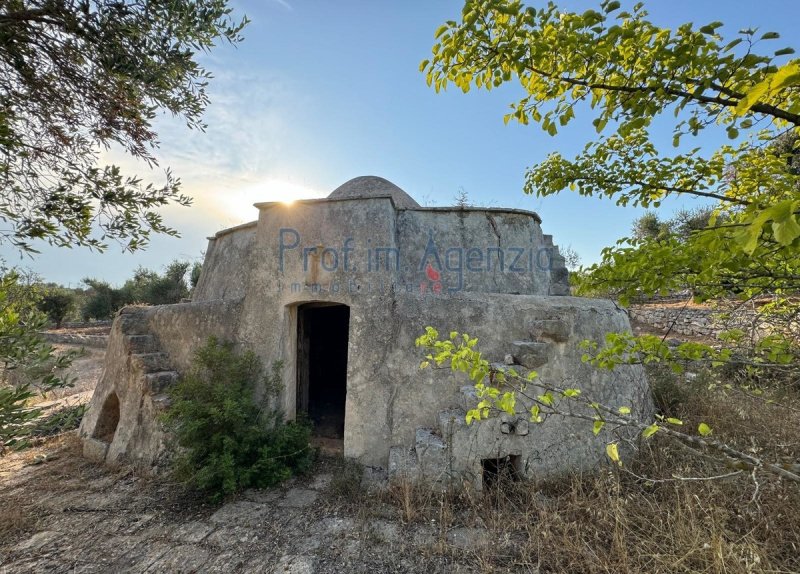 Trullo (Rundhaus) in Carovigno