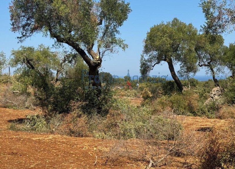 Bouwgrond in Carovigno