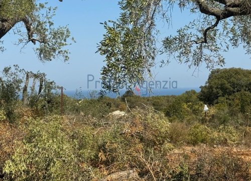 Terreno edificabile a Carovigno