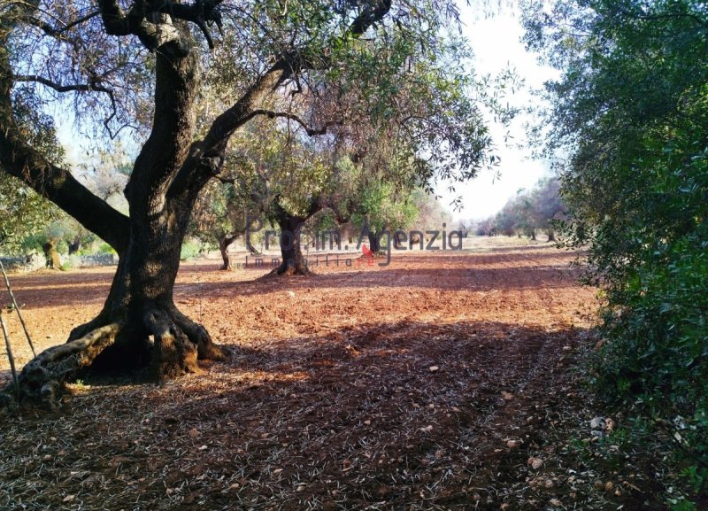 Terreno edificabile a San Vito dei Normanni