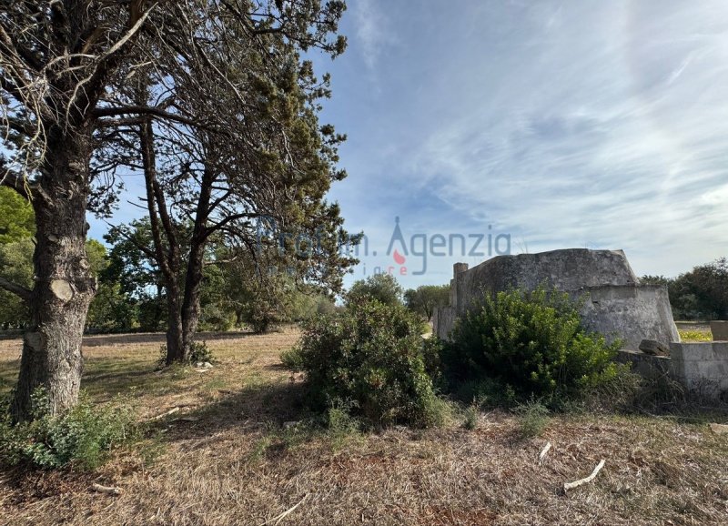 Casa Trullo em Carovigno