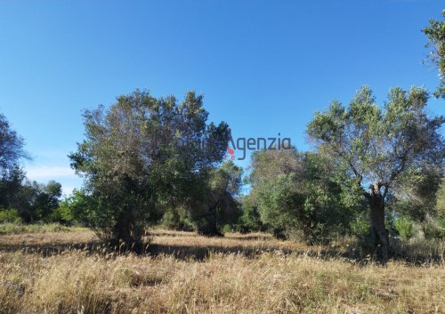 Bauland in Carovigno