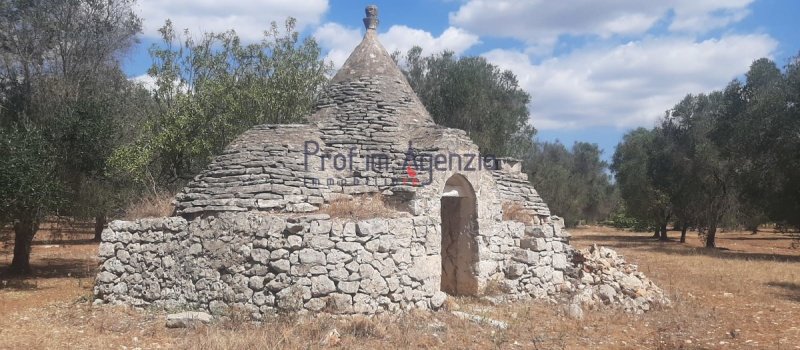 Trullo i San Michele Salentino
